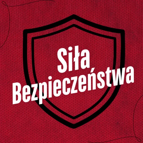 Siła Bezpieczeństwa | Platforma Projektowa